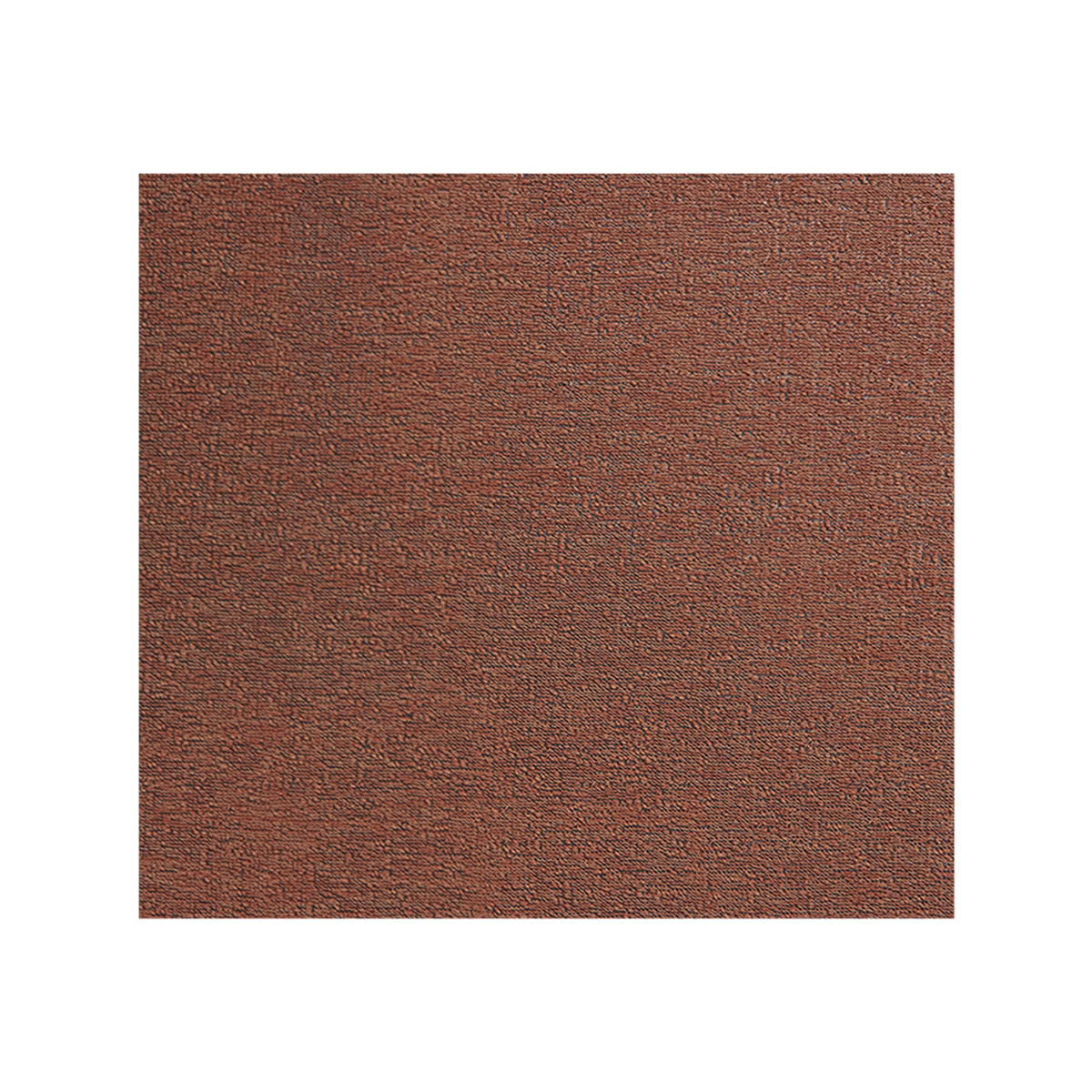 Burnt Coral Shag Mat in Muted Midtone Warm Red with White